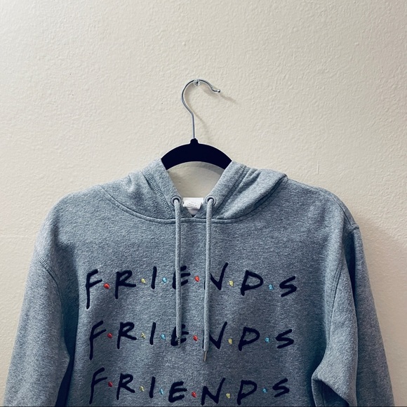 H&M Light Gray Warner Brothers FRIENDS embroidered Sweatshirt Hoodie Size L - Picture 4 of 11